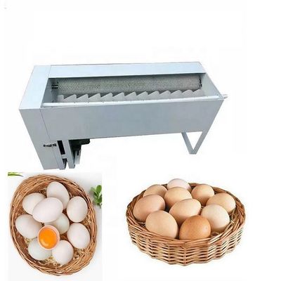 Hard Plastic Nylon Rotating Eggs Cleaning Industrial Roller Brush