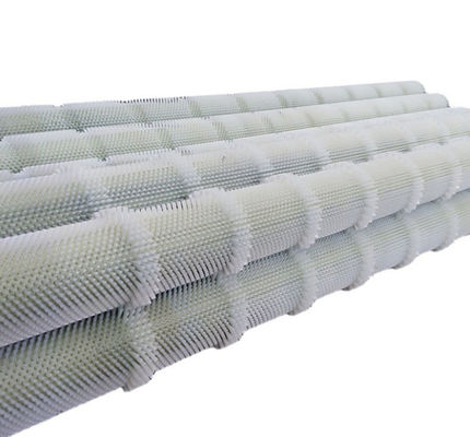 Brush Roller Radish Bean Skin Machine Fruit And Vegetable Cleaning And Dust Removal Nylon Wire Roller Brush