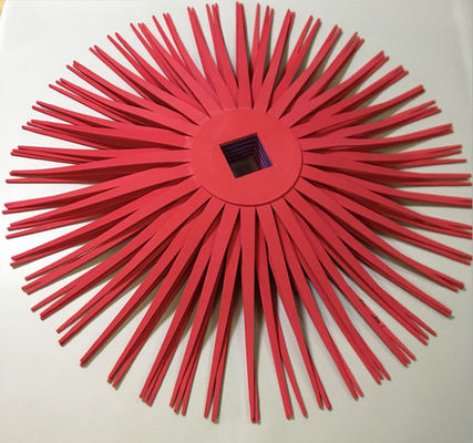 EVA Brush Wafer Automobile Brush EVA Foam Blade